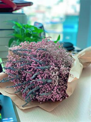 CHÀO  MỪNG NGÀY PHỤ NỮ VIỆT NAM 20-10